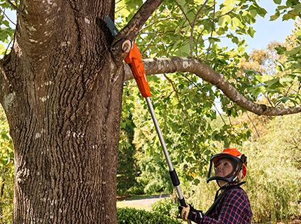 New ECHO DPPF-310 power pruner.